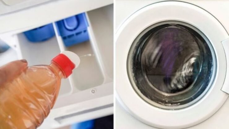 Technik vám to neříká, ale to je jediný způsob, jak se vyhnout problémům s pračkou: Můžete ušetřit spoustu peněz a zbytečných hovorů